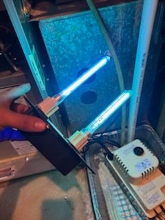 duct-cleaning-services